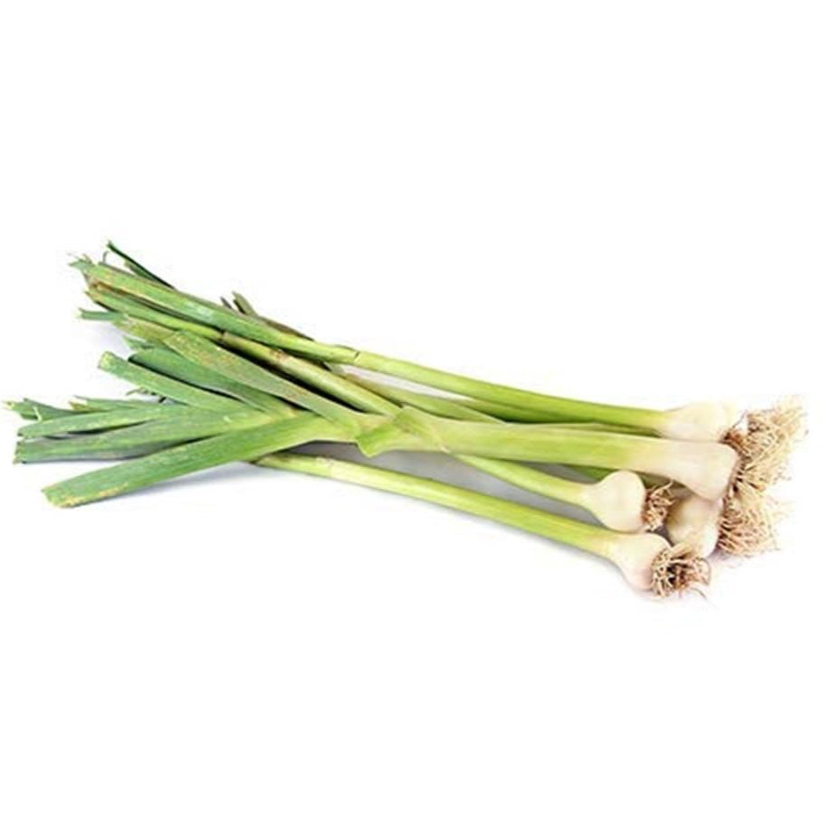 Green Garlic Bunch