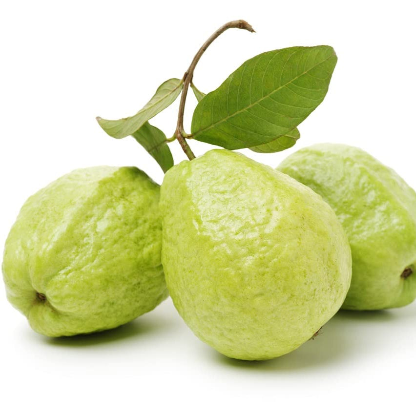 Guava