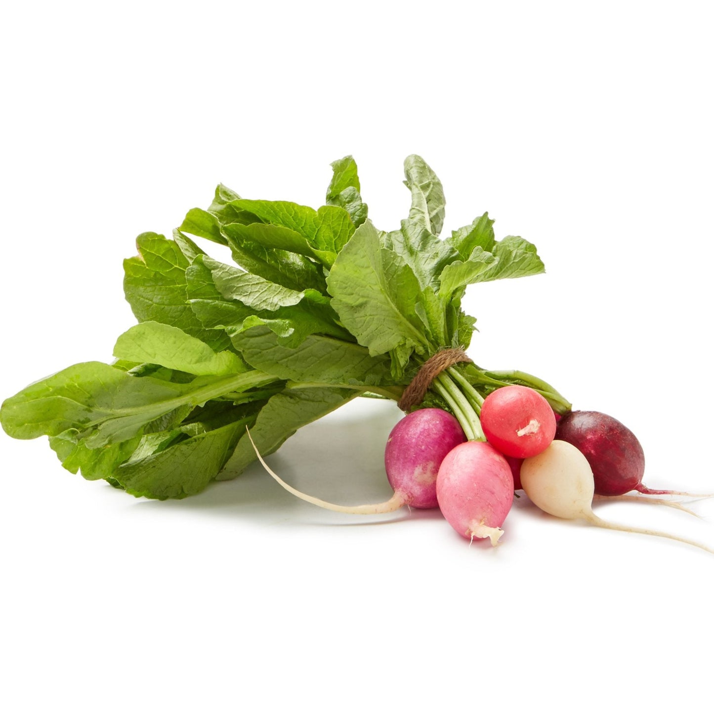 Radish Bunch