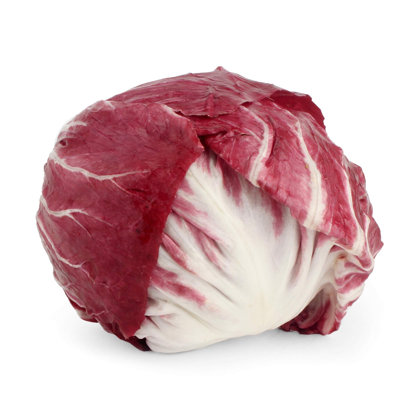 Radicchio