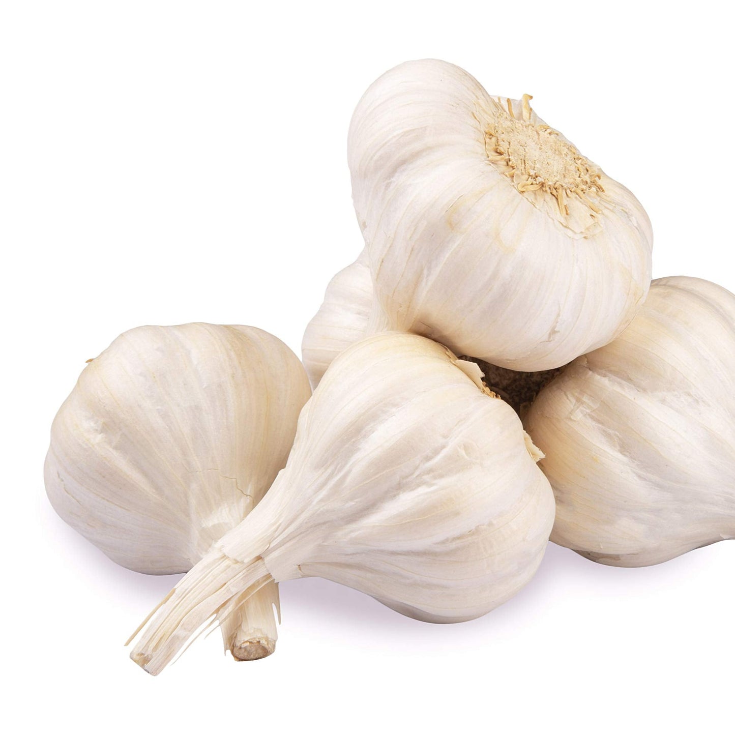 Fresh Whole Garlic