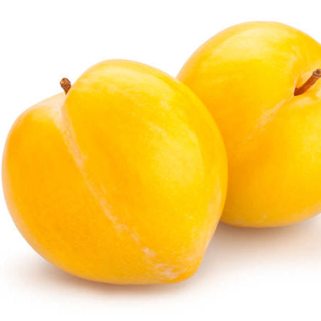 Yellow Plum