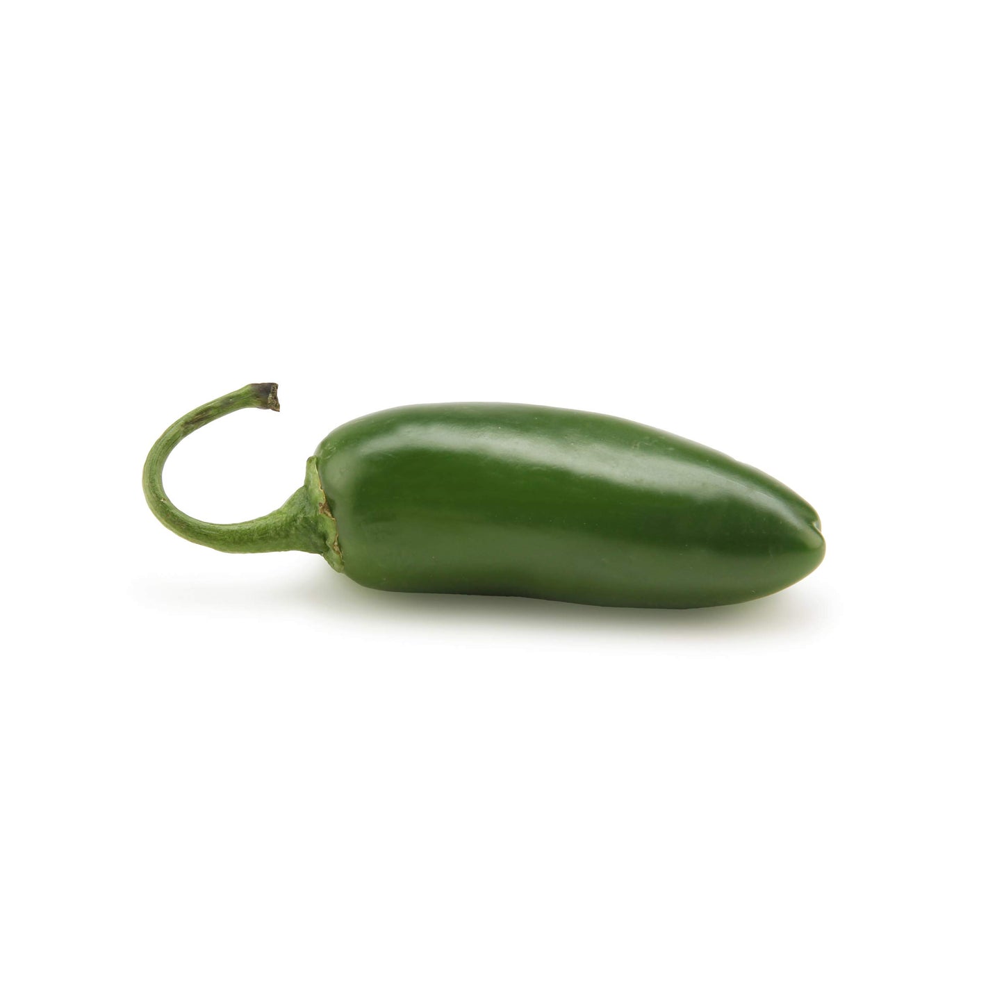 Jalapeño Pepper