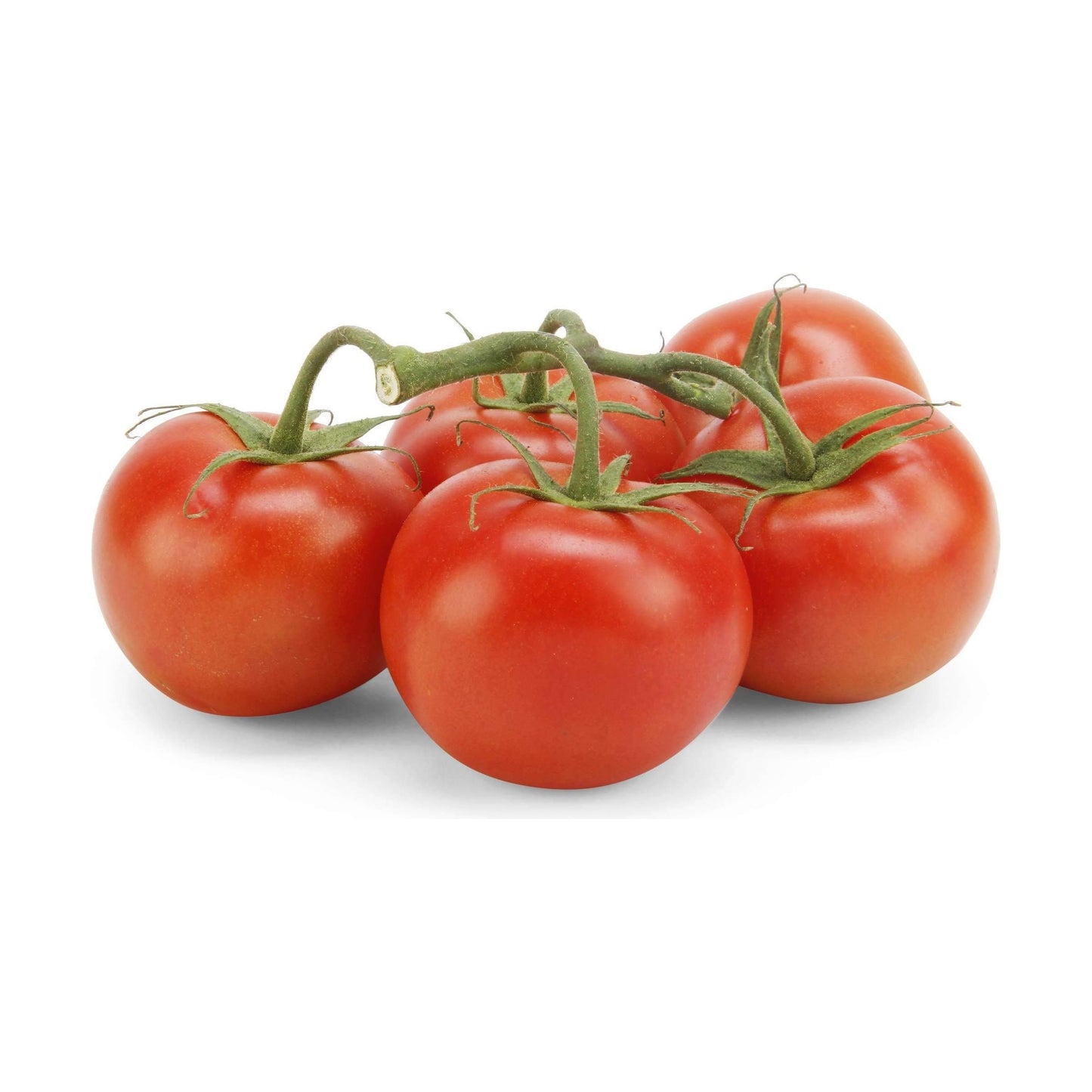 Tomato On The Vine