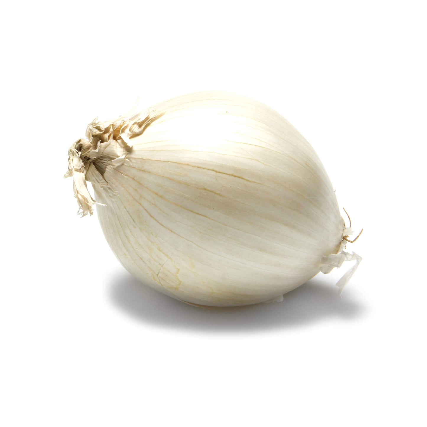 White Onion